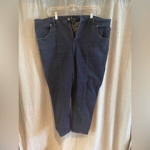 Universal Standard Seine Skinny Jean with Pintuck 27 Inch